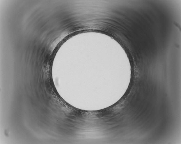 X0000103940875200810171812