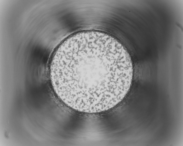 X0000103940876200810171812