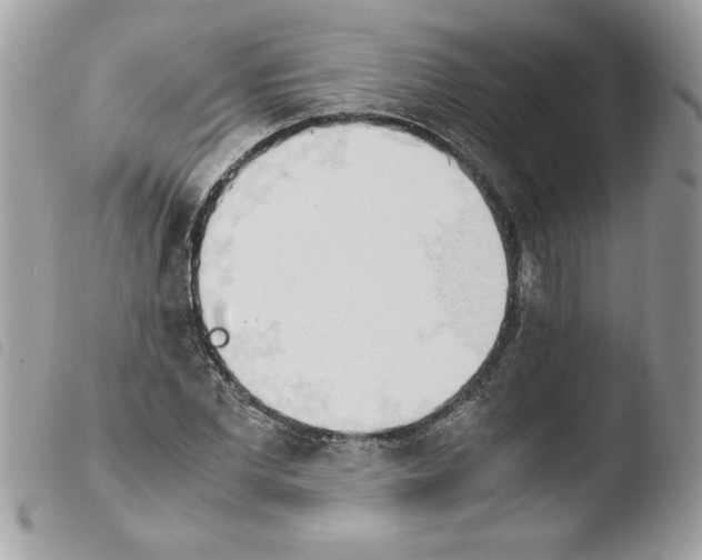 X0000103940877200810171812