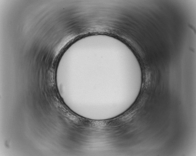 X0000103940878200810171812