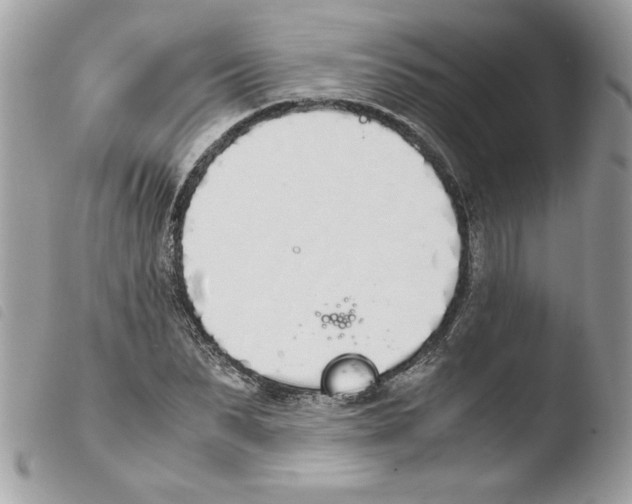 X0000103940879200810171812