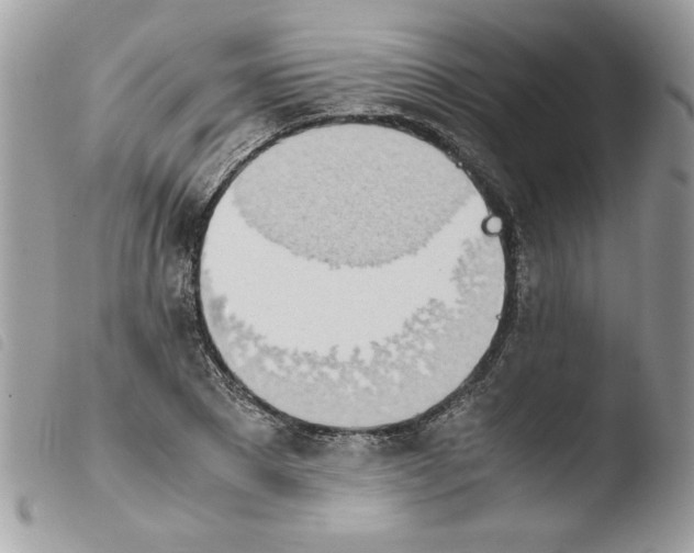 X0000103940881200810171812