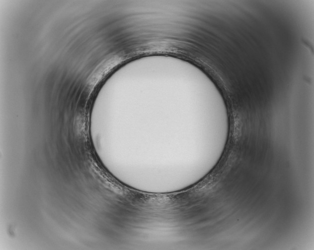 X0000103940882200810171812