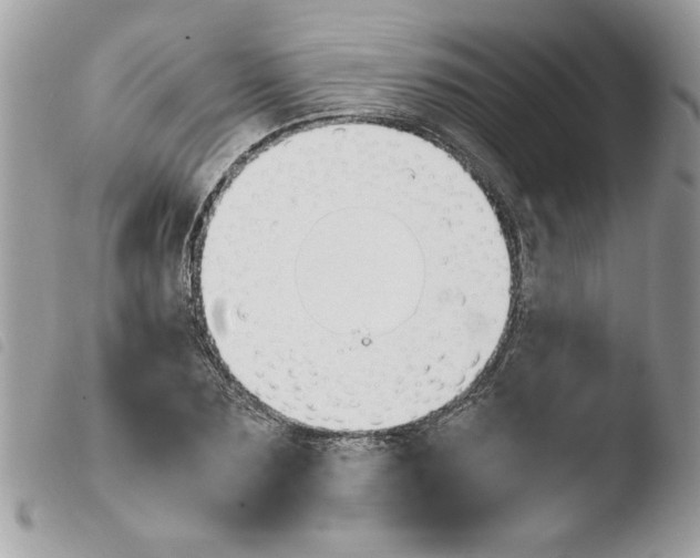 X0000103940883200810171812