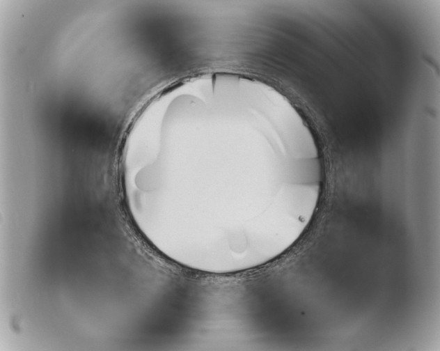 X0000103940884200810171812