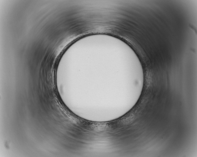 X0000103940886200810171812