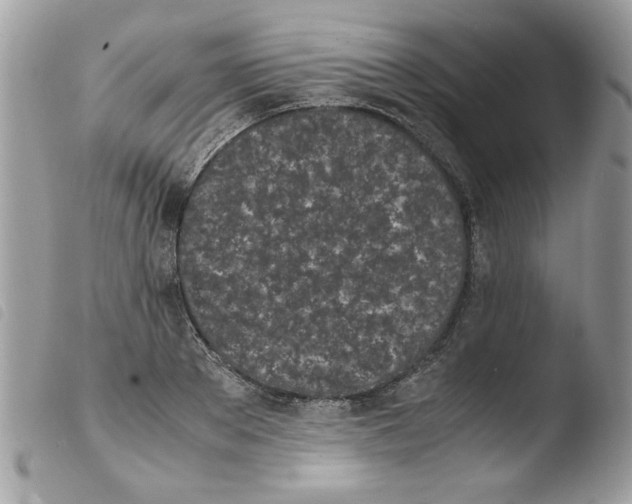 X0000103940889200810171812