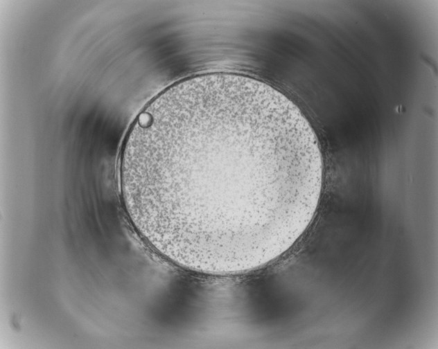 X0000103940892200810171812