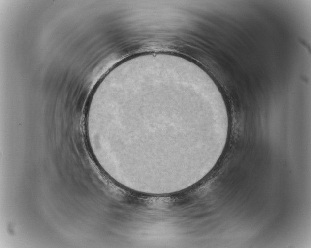 X0000103940893200810171812