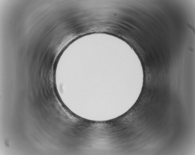 X0000103940894200810171812