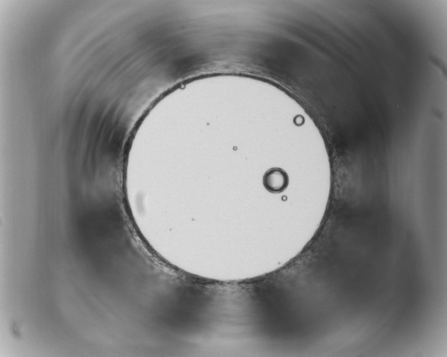 X0000103940896200810171812