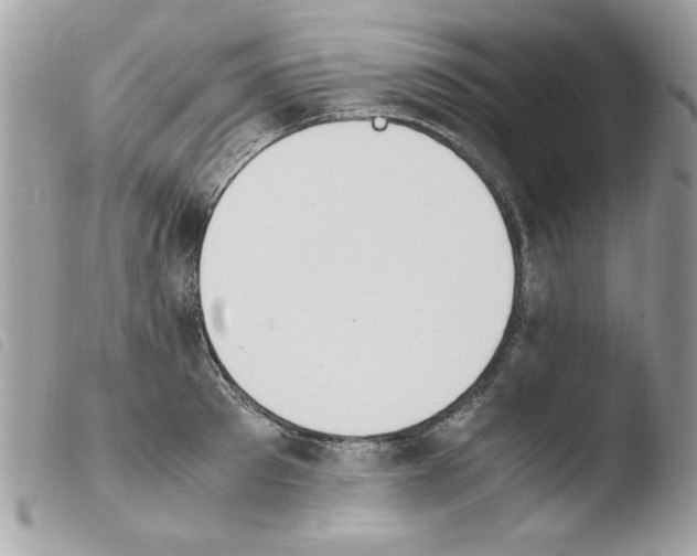 X0000103940897200810171812