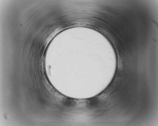 X0000103940899200810171812