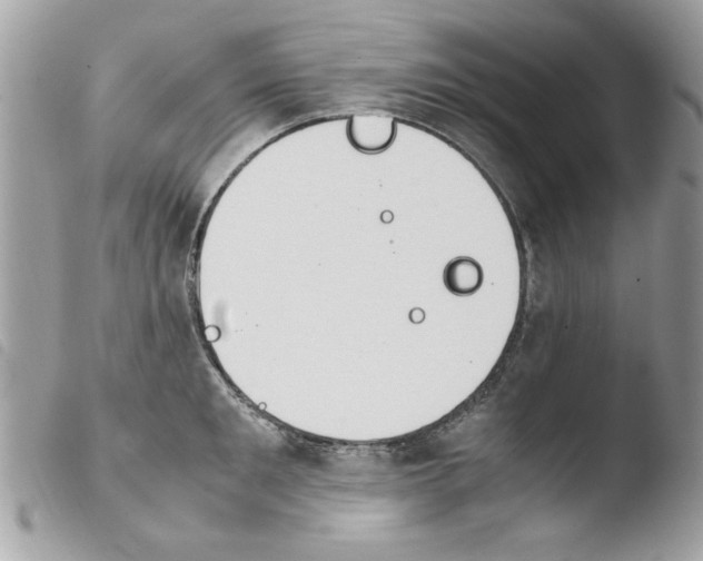 X0000103940901200810171812