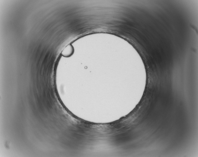 X0000103940902200810171812