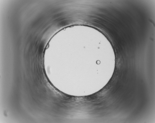 X0000103940903200810171812