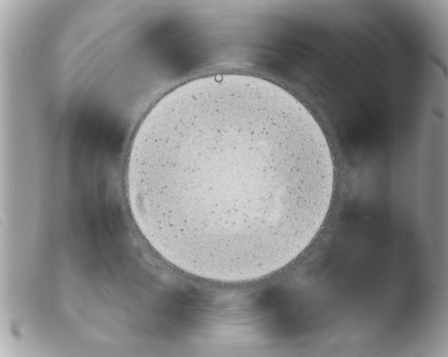 X0000103940904200810171812