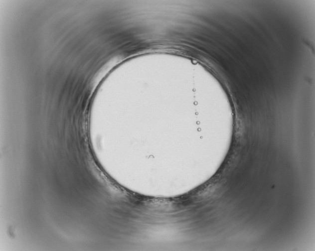 X0000103940907200810171812