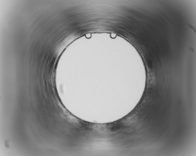 X0000103940909200810171812