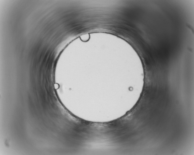 X0000103940910200810171812