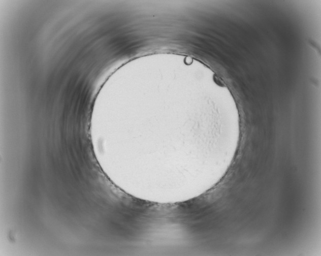 X0000103940912200810171812