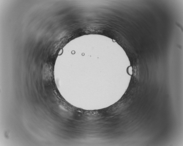 X0000103940915200810171811