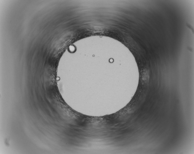 X0000103940916200810171811