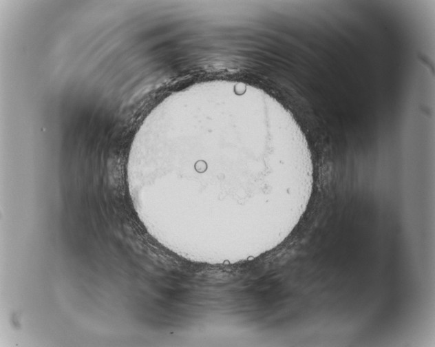 X0000103940917200810171811