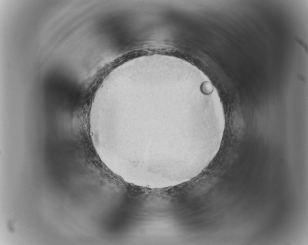 X0000103940920200810171811