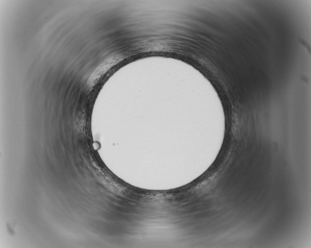 X0000103940922200810171811