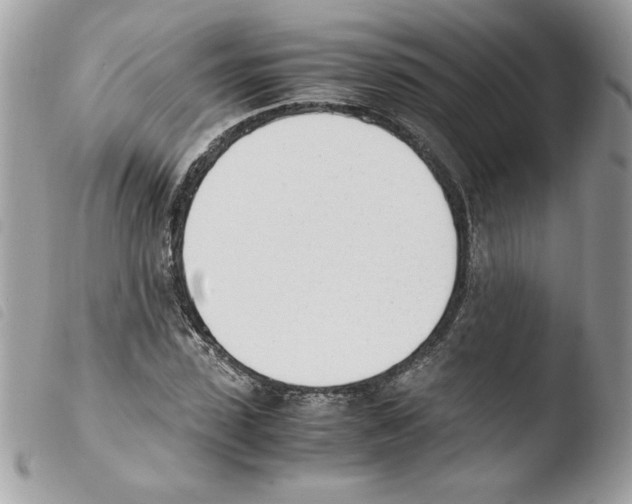 X0000103940923200810171811