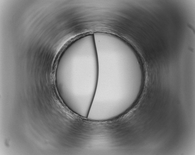 X0000103940924200810171811