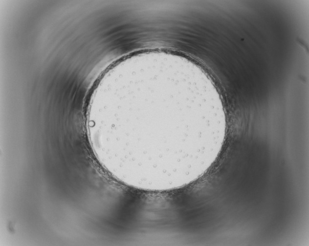 X0000103940927200810171811