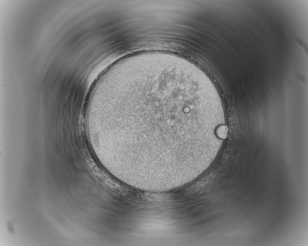 X0000103940928200810171811