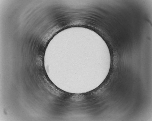 X0000103940929200810171811