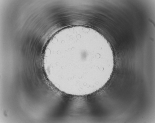 X0000103940931200810171812