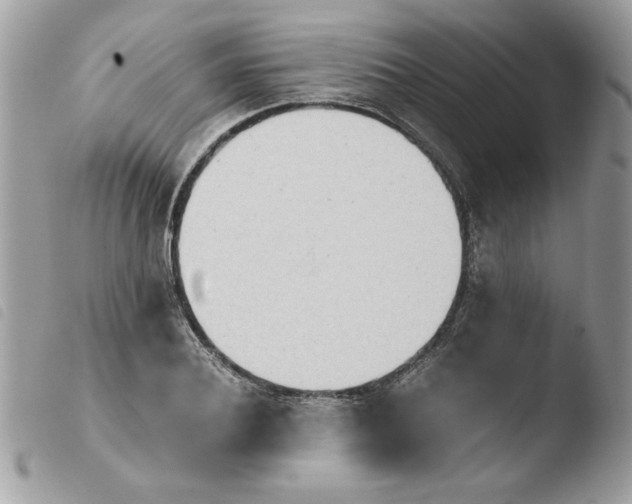 X0000103940932200810171812