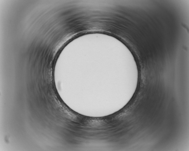 X0000103940933200810171812