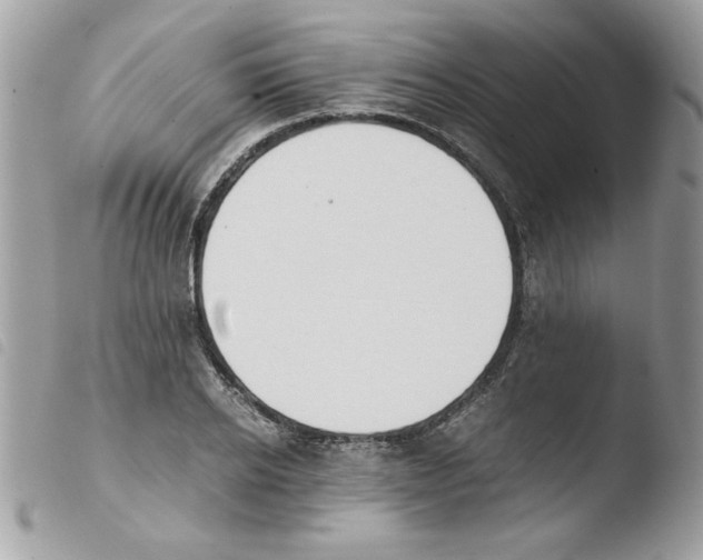 X0000103940934200810171812