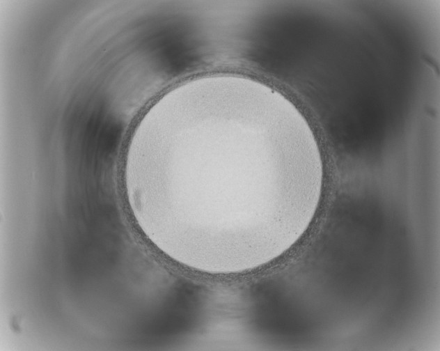 X0000103940936200810171812