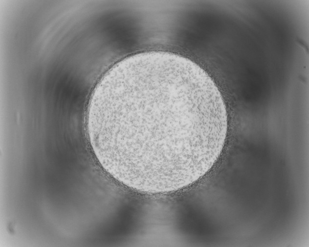 X0000103940940200810171812