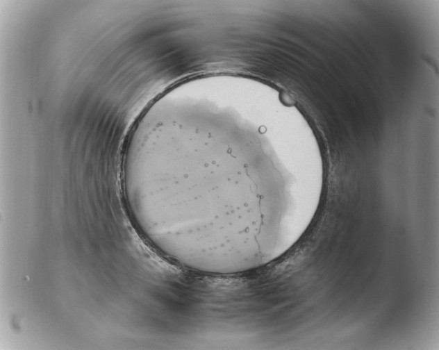 X0000103940941200810171812