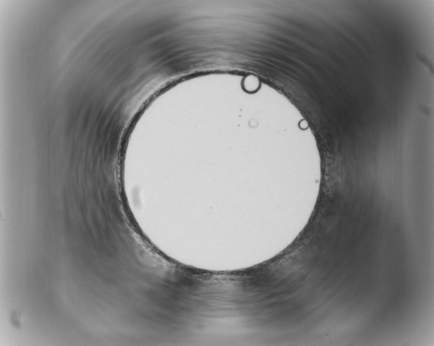 X0000103940942200810171812