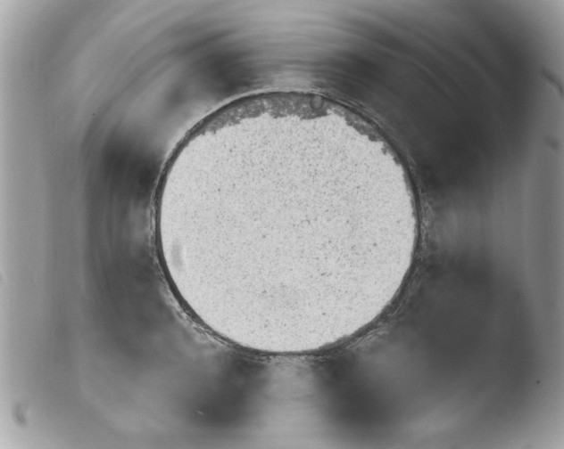 X0000103940944200810171812