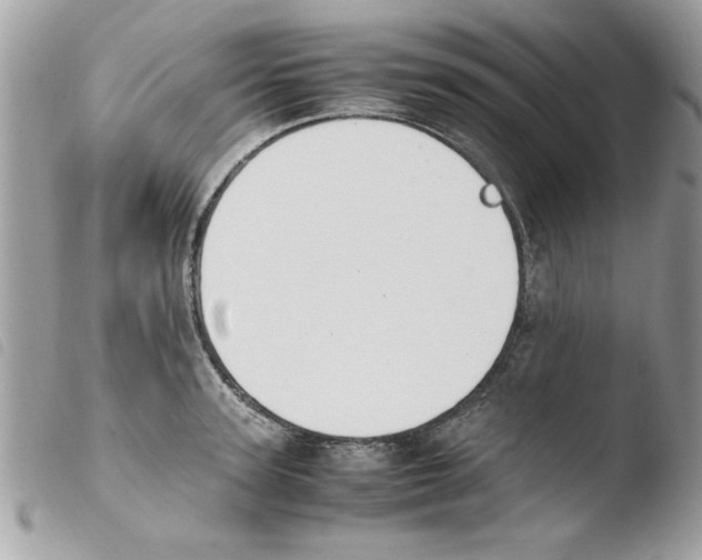 X0000103940947200810171812