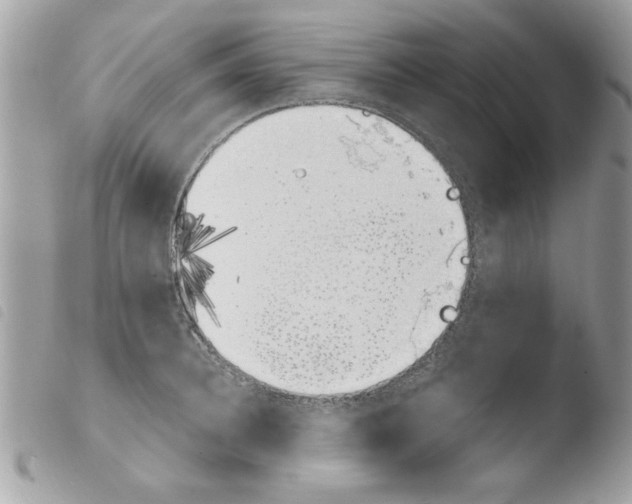 X0000103940948200810171812