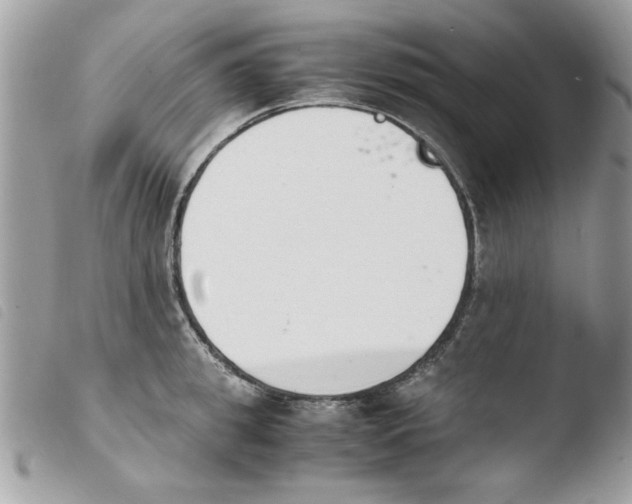 X0000103940949200810171812