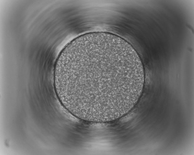 X0000103940950200810171812