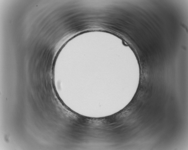 X0000103940951200810171812