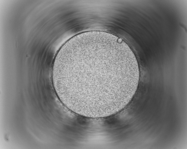 X0000103940952200810171812